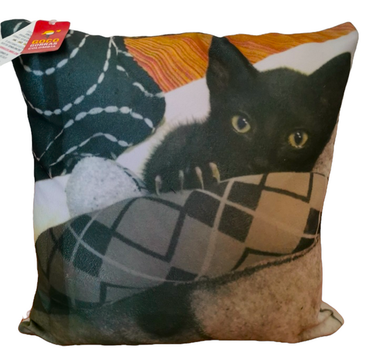 Cojín MASCOTA (Foto)