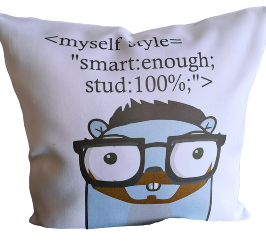 Cojín GO LEARN (Frase)