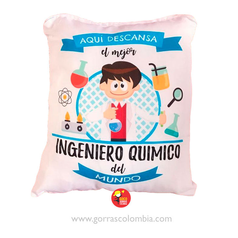 Cojín AQUÍ DESCANSA... (Profesión)