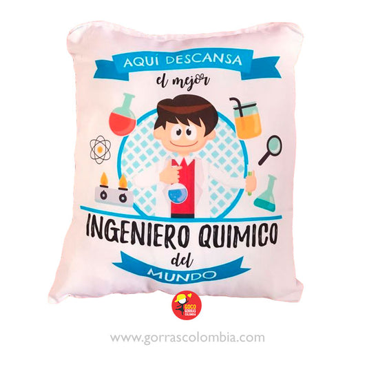 Cojín AQUÍ DESCANSA... (Profesión)