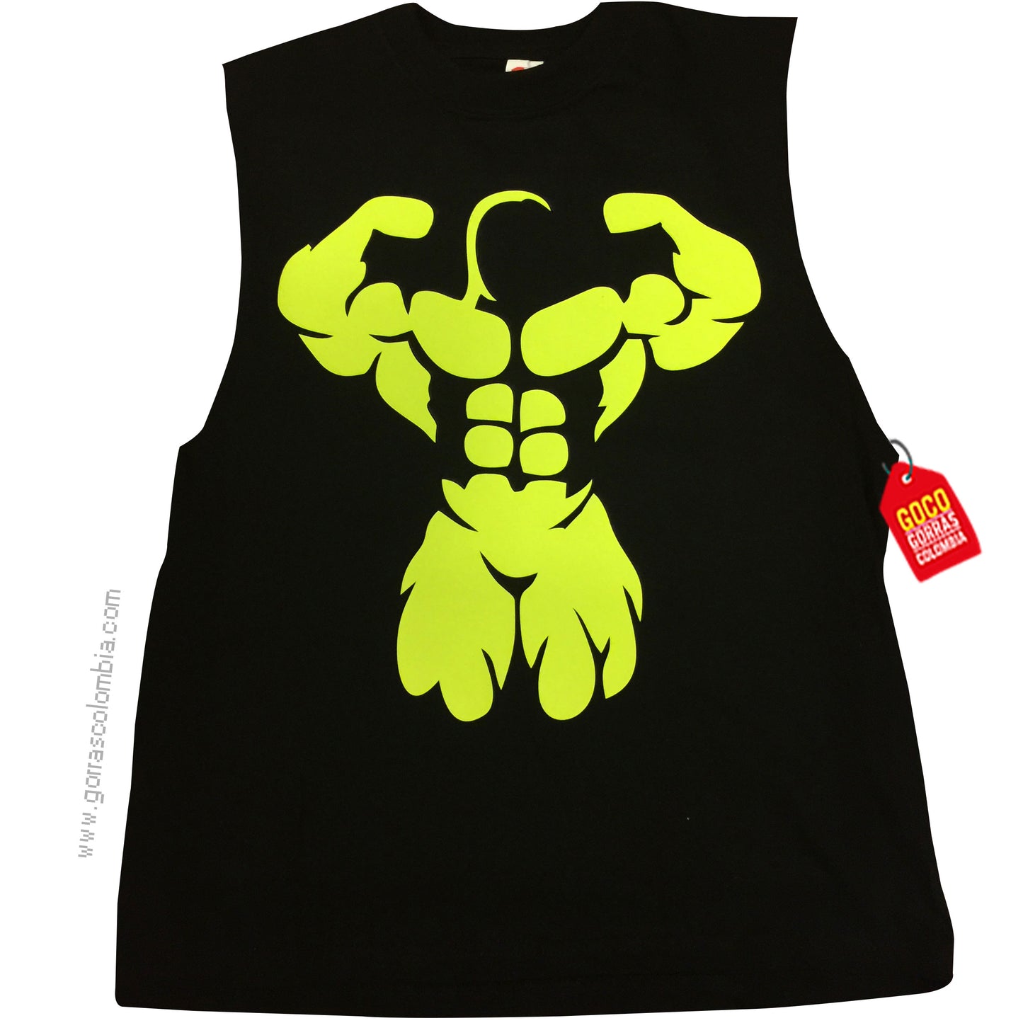 Esqueleto FISICOCULTURISMO