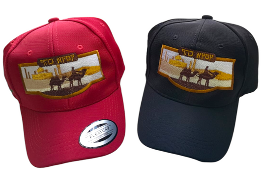 Gorras DESIERTO Y CAMELLOS