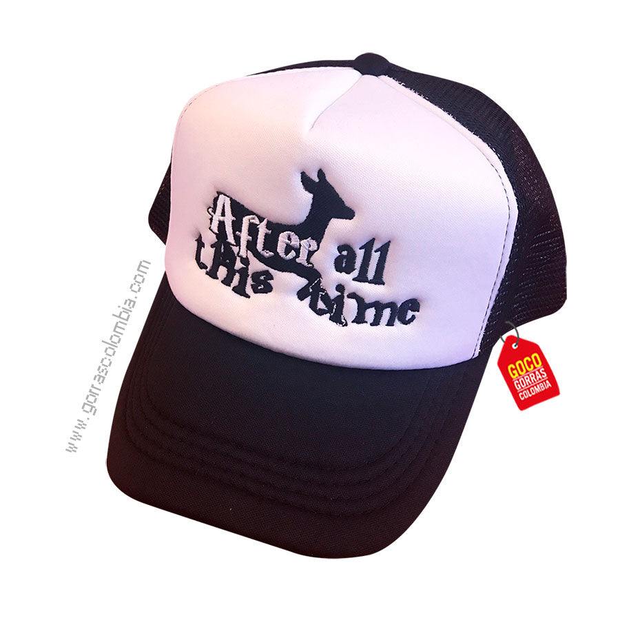 Gorra HARRY POTTER - AFTER ALL THIS TIME